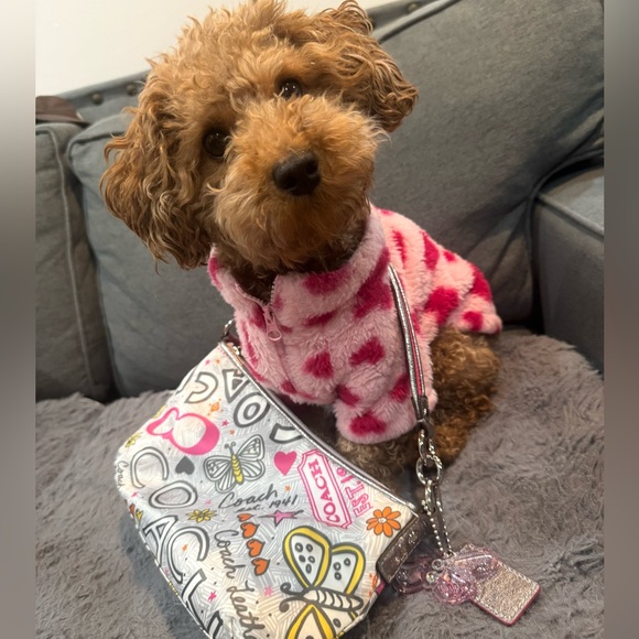 POPPY GAME - Picture 4 of 4